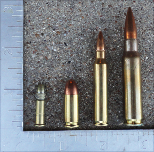L to R: .22LR, 9mm, .223, .308