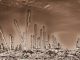 Apocalyptic